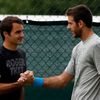 Federer a del Potro před Wimbledonem 2013