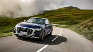 Audi Q8 bylo dosud dostupné se dvěma verzemi naftového šestiválce a jedním benzinovým třílitrem. Výkon mají od 170 do 250 kilowattů.