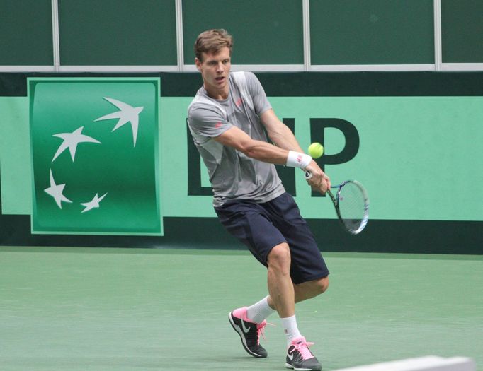 Davis Cup, Tomáš Berdych