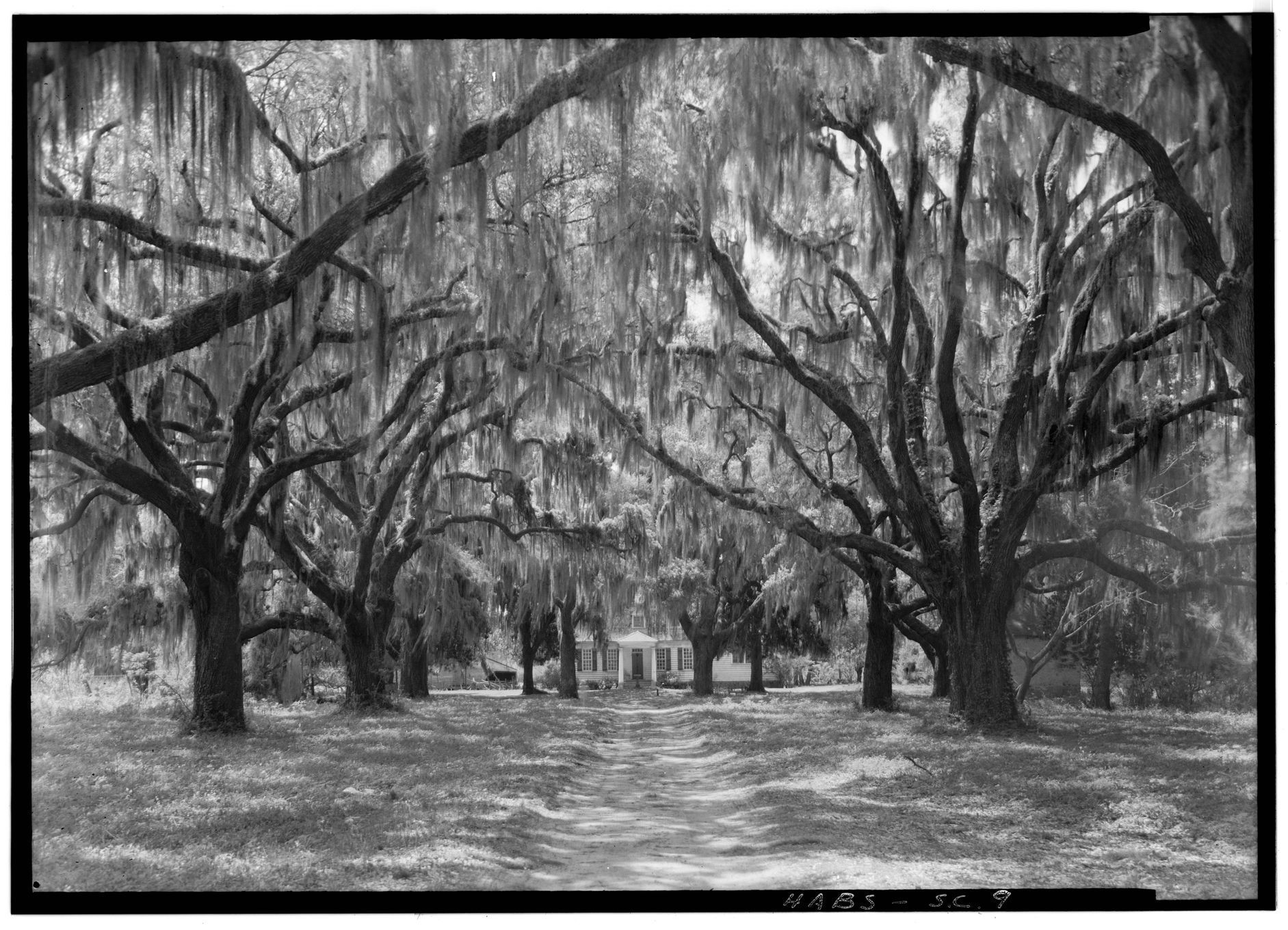 Plantáž v okresu Charleston