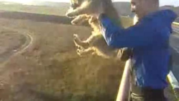 Svajunas Beniukas hází bezbranného psa z mostu