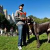 V New Yorku se potkal největší pes světa s nejmenším