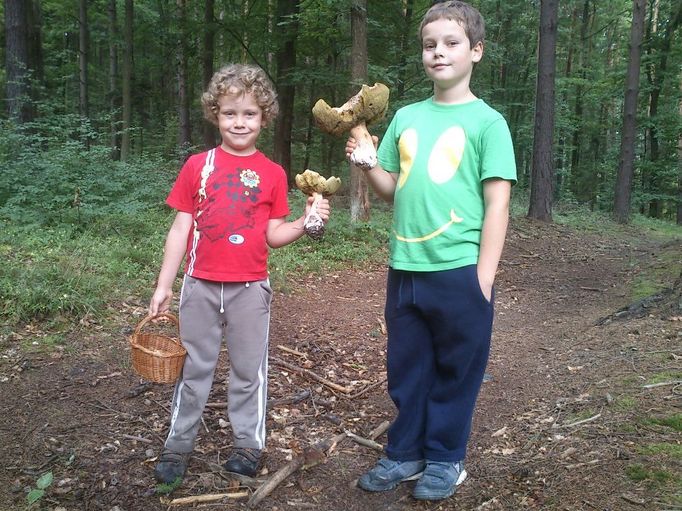 Náš houbařský úlovek z neděle 29. 7. 2012 z procházky lesem nedaleko Slapské přehrady. S pozdravem babička a děda Kellnerovi s Matějem a Čendou.