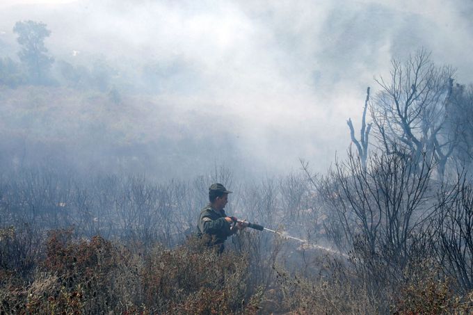 Severoafrické Alžírsko zasáhly lesní požáry stejně jako jih Evropy