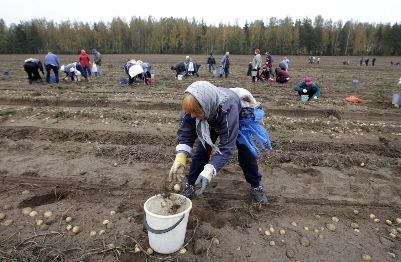 Foto: Krize a barterový obchod