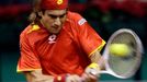 David Ferrer ve finále Davis Cupu