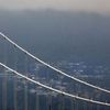 Hasiči vylezli až na vrchol obřího mostu ve Vancouveru