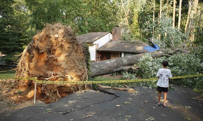 A child looks at a house struck by a tree after a violent thunderstorm ripped through the area on Saturday evening, in Falls Church, Virginia June 30, 2012. Wind gusts clocked at speeds of up to 79 mph (127 kph) were reported in and around the U.S. capital, knocking out power to hundreds of thousands of homes in the Washington, D.C. area. REUTERS/Kevin Lamarque (UNITED STATES - Tags: ENVIRONMENT DISASTER SOCIETY) Published: Čer. 30, 2012, 11:19 odp.