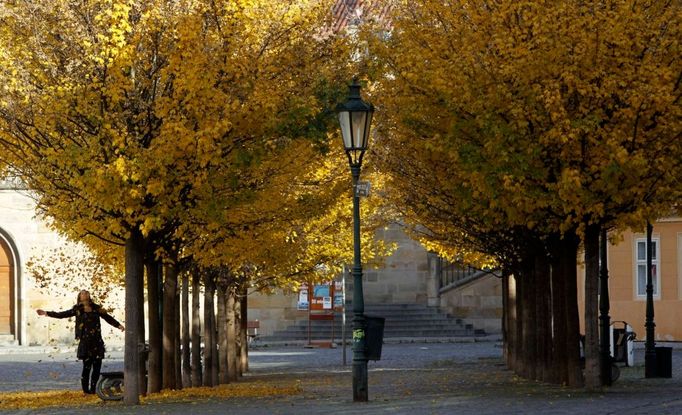 Žena si hraje s padajícím listím u schodů na Karlův most. Praha.