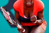 Serena Williamsová se raduje po úspěšném míčku v souboji s Klárou Zakopalovou.
