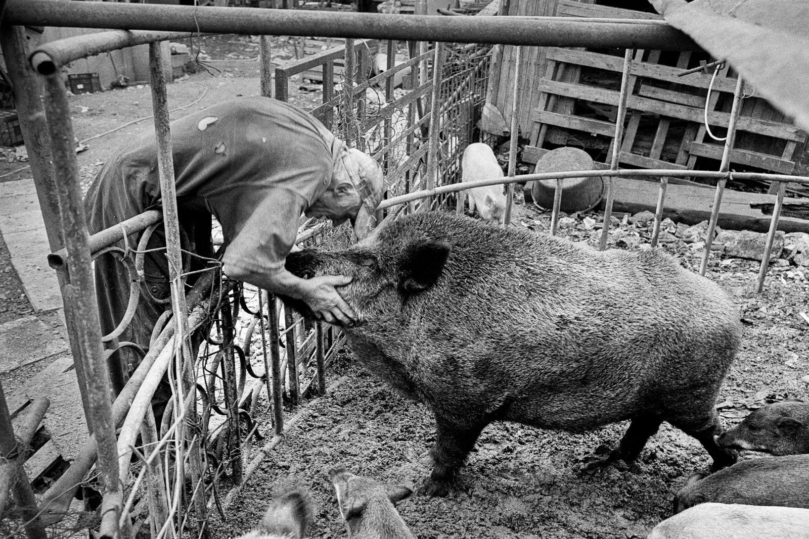Dan Šperl - Všednosti (ukázky ze stejnojmenné výstavy fotografií)