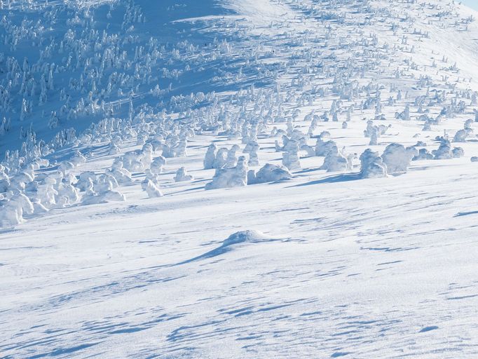 Krkonoše, zimní stezka z Lysé hory na Vrbatovu boudu