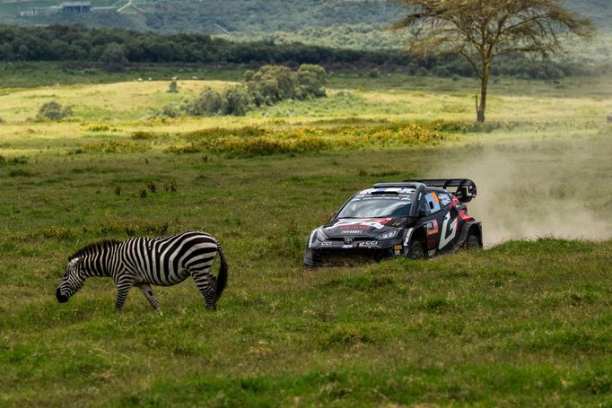 Kalle Rovanperä (Toyota) na trati Rallye Safari 2024