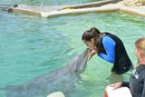 Ana Ivanovičová si hraje s delfíny v Miami.