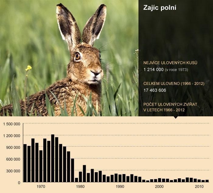 Statistika ulovené zvěře - 06