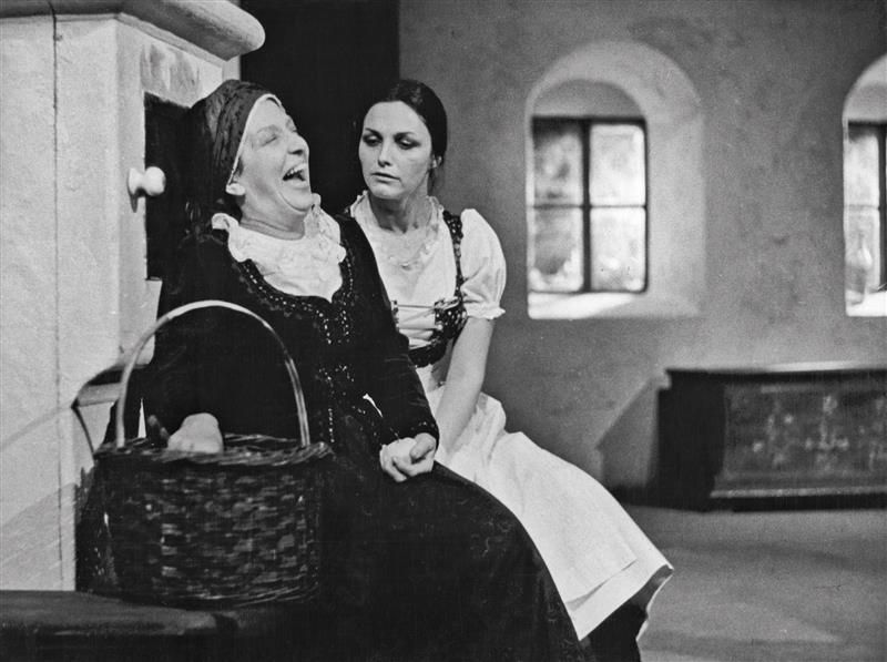 Dana Medřická, herečka