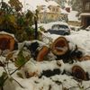 Jablonec vyhlásil kalamitu