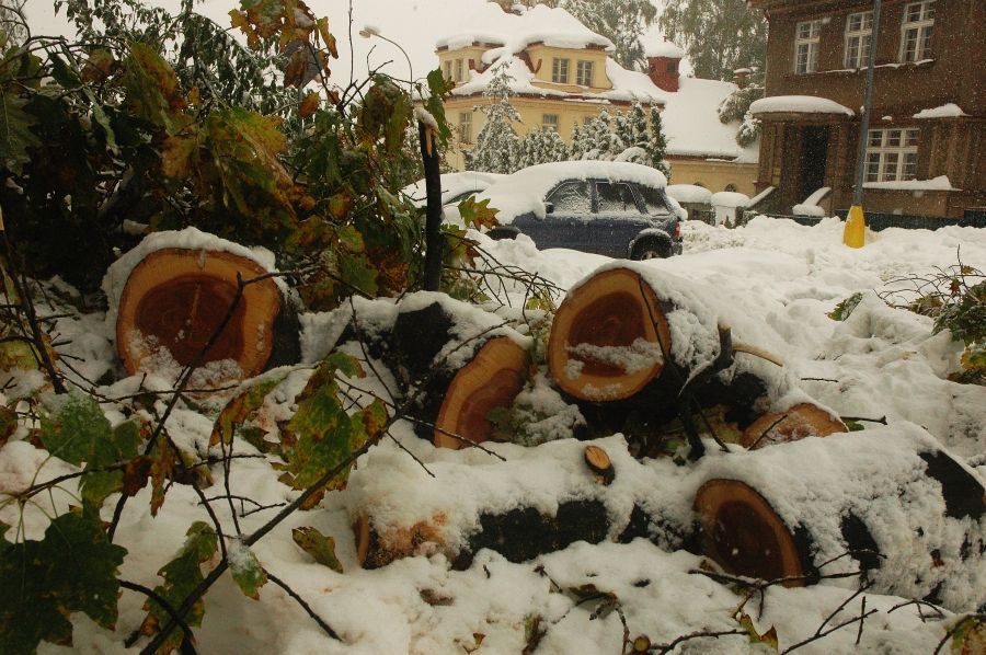 Jablonec vyhlásil kalamitu