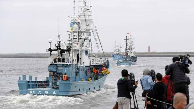 Foto: Velrybáři vyplouvají na moře. Japonské lodě vyrazily po 31 letech na lov velryb