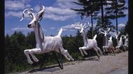 Santovi sobi, dětský zábavní park Magic Forest, Lake George, New York (1996).