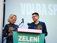 Dvojice Magdalena Davis - Michal Berg byla v březnu 2024 opakovaně zvolena do vedení Strany zelených.