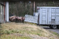 Stát na památník romského holokaustu v Letech nedá ani korunu, zaplatí se z norských fondů