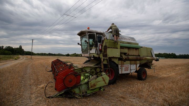 Obrazem: Chceme chovat koně, ne velbloudy. Maďarské farmáře postihlo rekordní sucho; Zdroj foto: Reuters