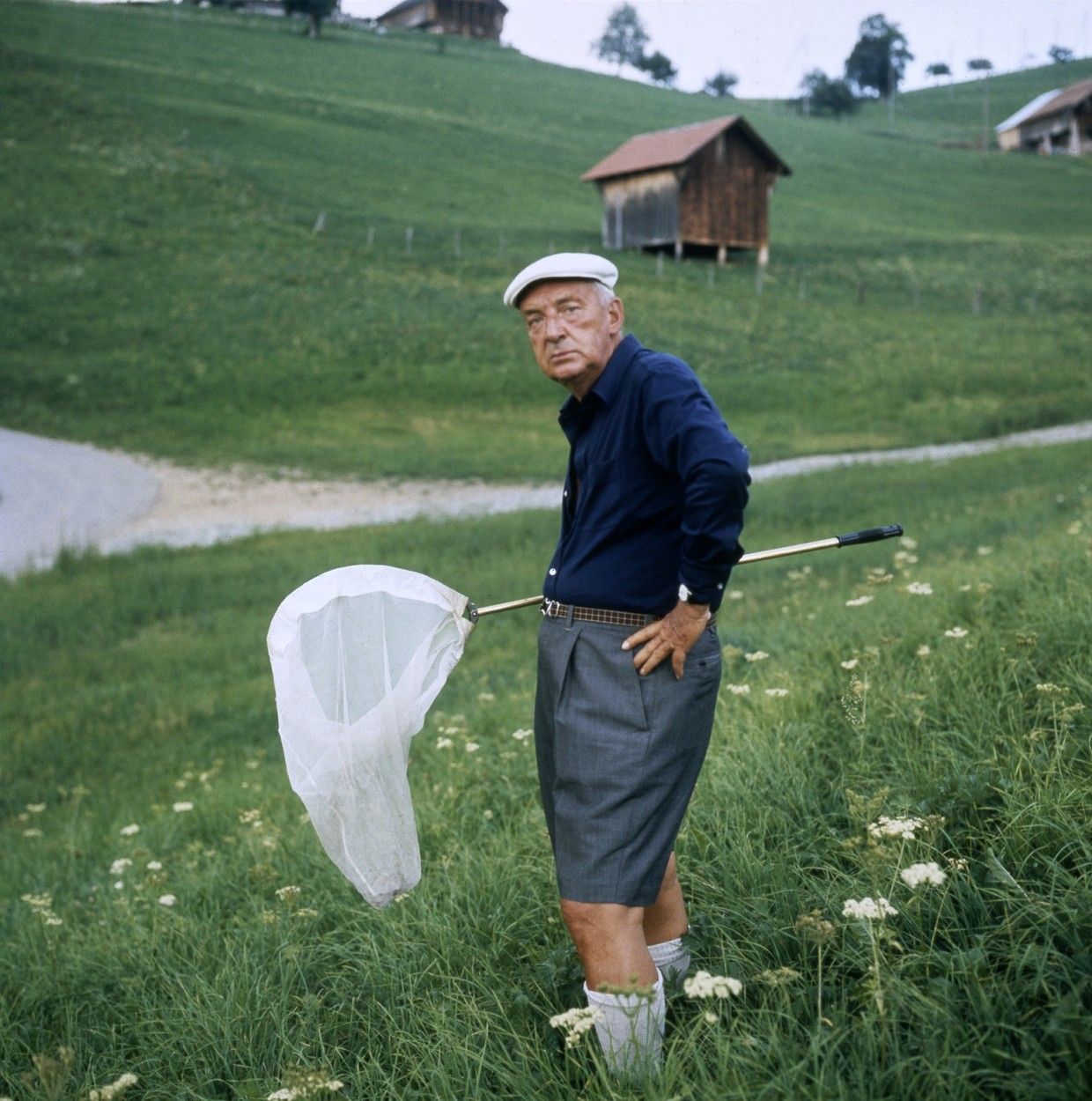 Vladimir Nabokov, 70. léta