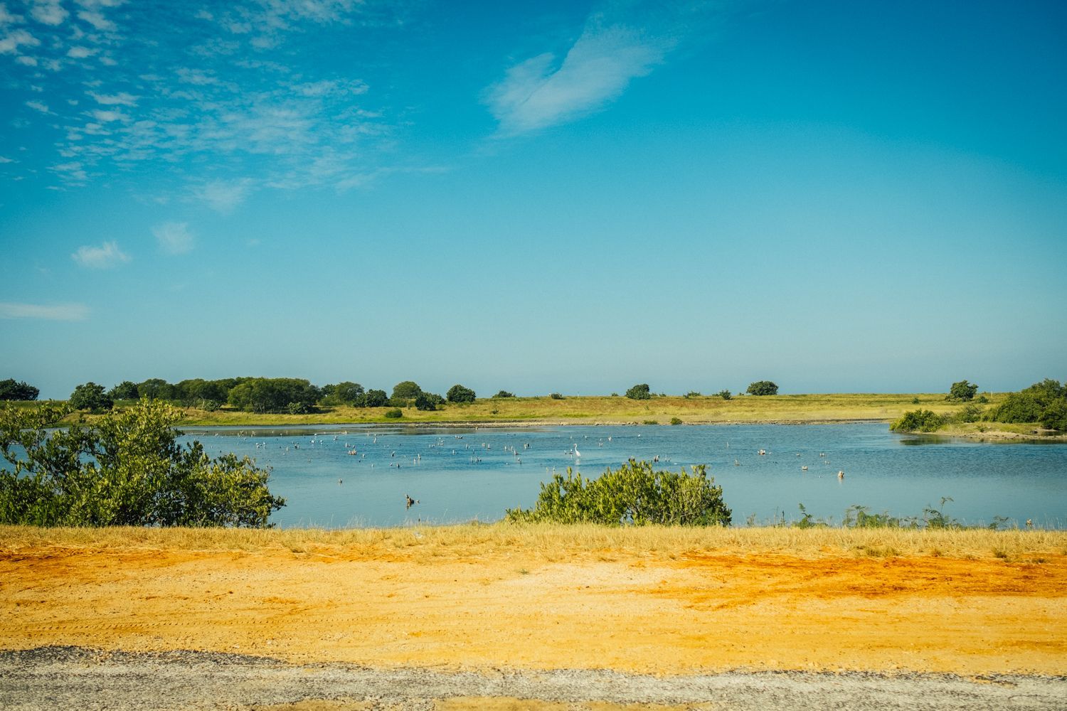 Romana Marie Jokelová: Kuba