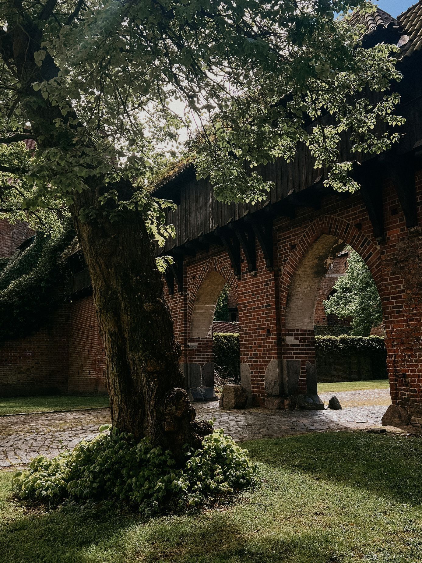 polsko balt hrad malbork pes moře
