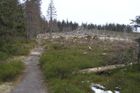 Pre-election move: Šumava bark beetle fight reloaded