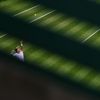 Wimbledon 2023: Jaume Munar