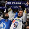 Hokej, extraliga, Plzeň - Litvínov: Fanoušek
