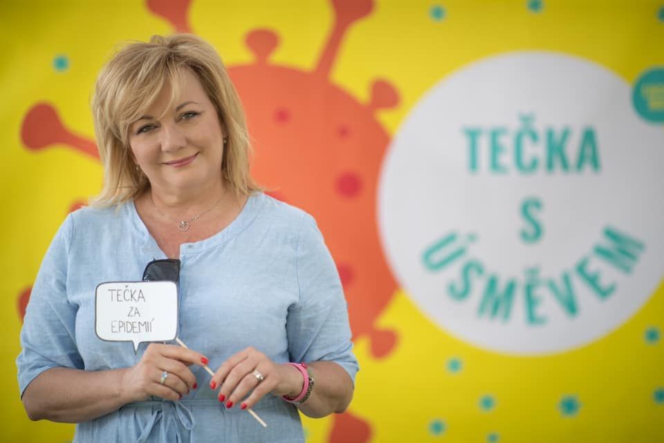 alena schillerová audit