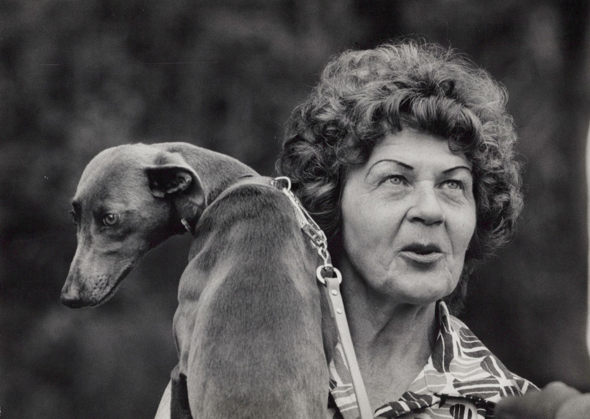 Jiří Horák, Nymfy a rebelové, monografie, nakladatelství PositiF, Foto, Magazín