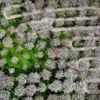 Nejlepší fotky Reuters za rok 2024, foto, Reuters, Zahraničí