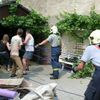Hasiči vytahovali koně z betonové jámy