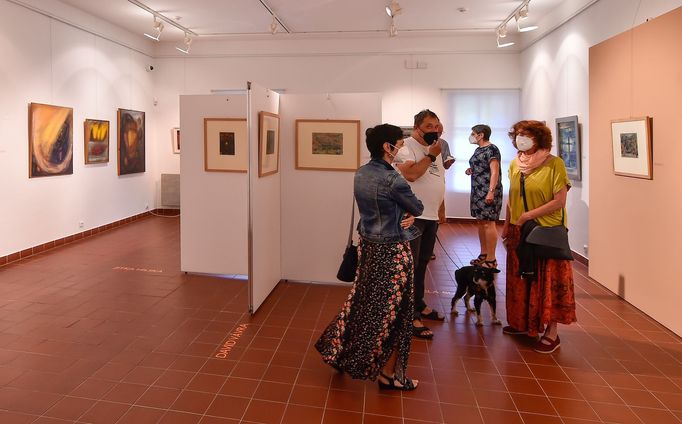 Snímek z výstavy Petrkov v nás aneb Pocta Bohuslavu Reynkovi.