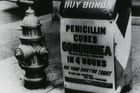 Přehmaty vědy: Zázrak jménem penicilin vznikl omylem
