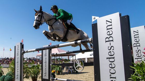 Prohlédněte si nejlepší fotky z víkendového Světového poháru v Olomouci, který  korunoval dominantní výhrou český parkurový jezdec Aleš Opatrný.