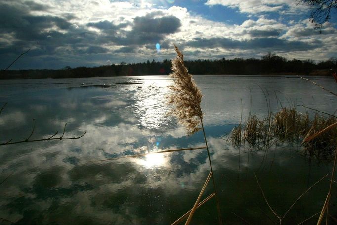 Národní přírodní rezervace Lednické rybníky na Břeclavsku. Jižní Morava. Rok 2008