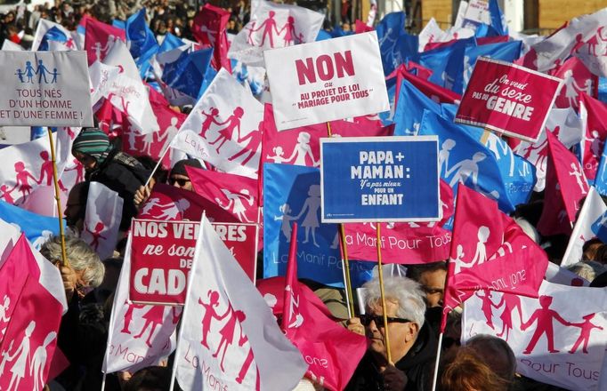 Návrh zákona o sňatcích homosexuálních párů vyvolal ve Francii masivní demonstrace. Dolní komora parlamentu ho schválila 12. února.