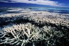 Austrálie vytvoří největší síť mořských parků na světě