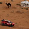 Orlando Terranova, Mini na Rallye Dakar 2022