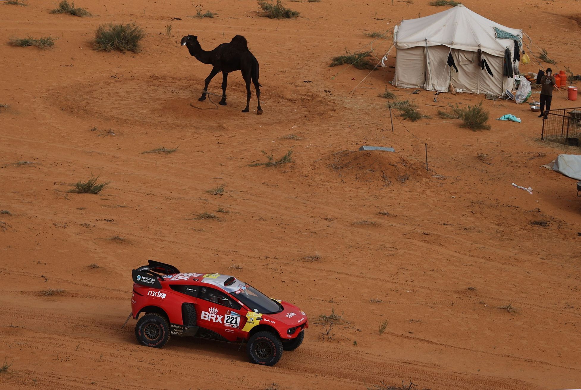 Orlando Terranova, Mini na Rallye Dakar 2022