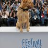 A dog sits on the desk during a photocall for the film &quot;Feher isten&quot; in competition for the category &quot;Un Certain Regard&quot; at the 67th Cannes Film Festival in Cannes