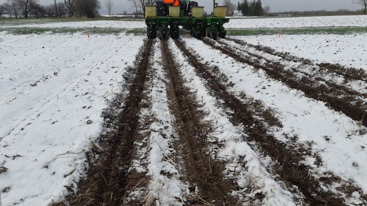 Na severovýchodě USA sněžilo, pár vloček spadlo i na Manhattanu