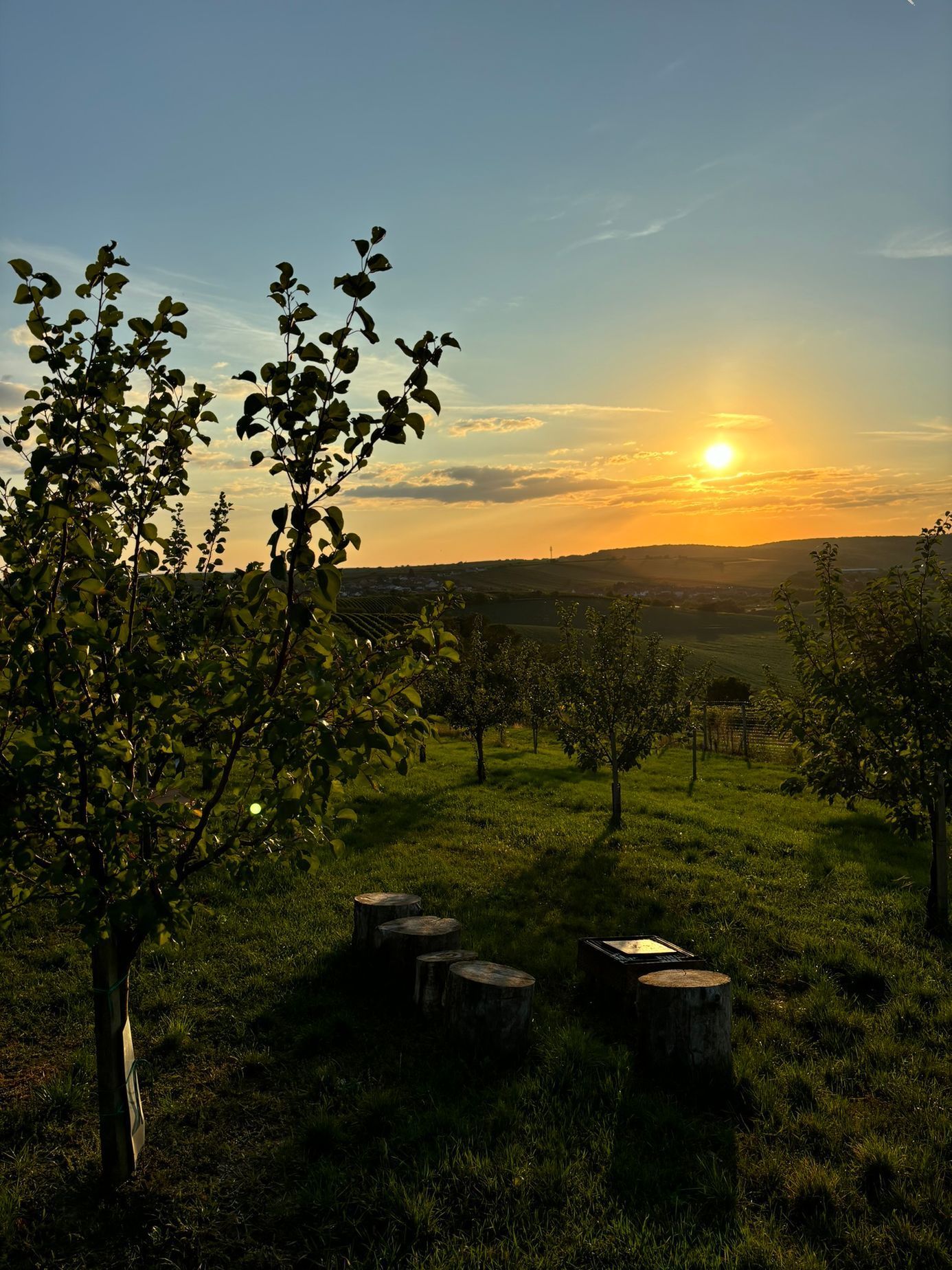Glamping Mezi meruňkami