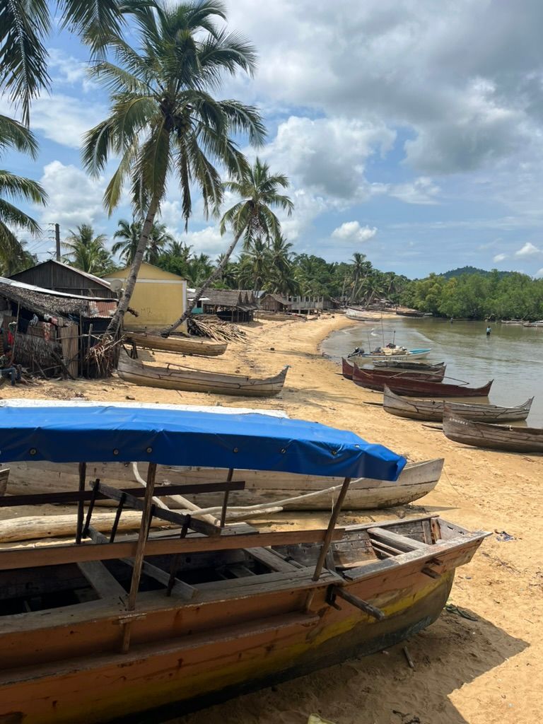 Madagaskar, Nosy Be, lemuři