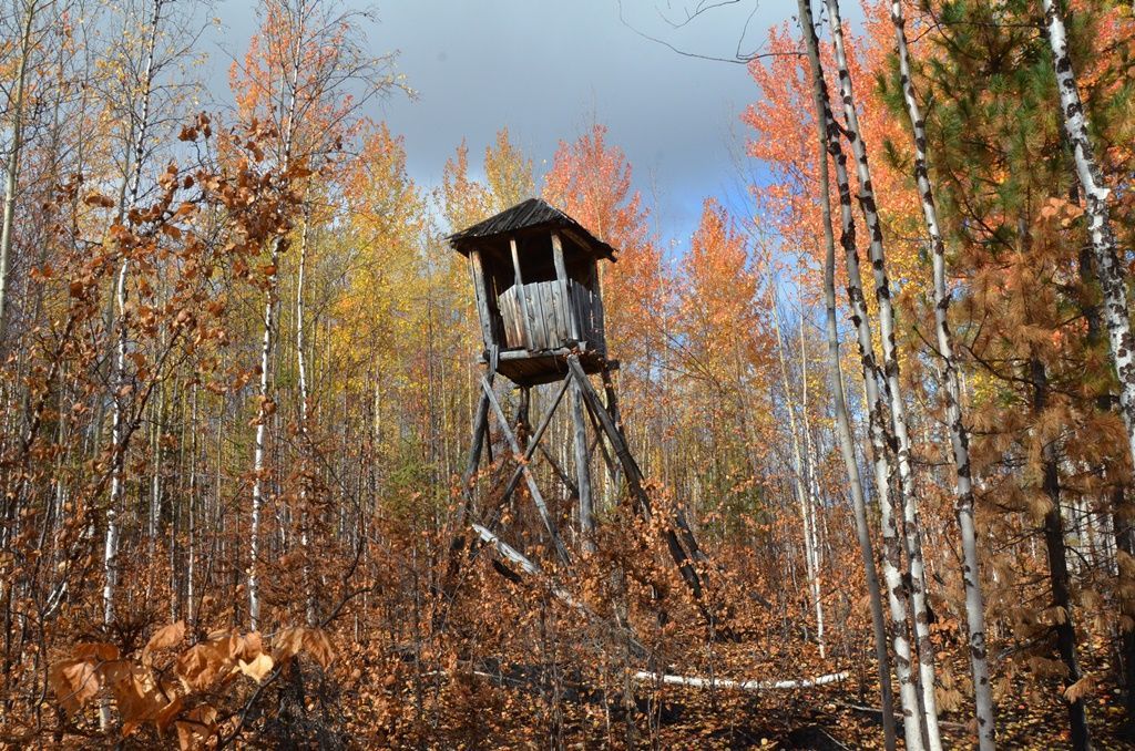 Gulag.cz, Štěpán Černoušek